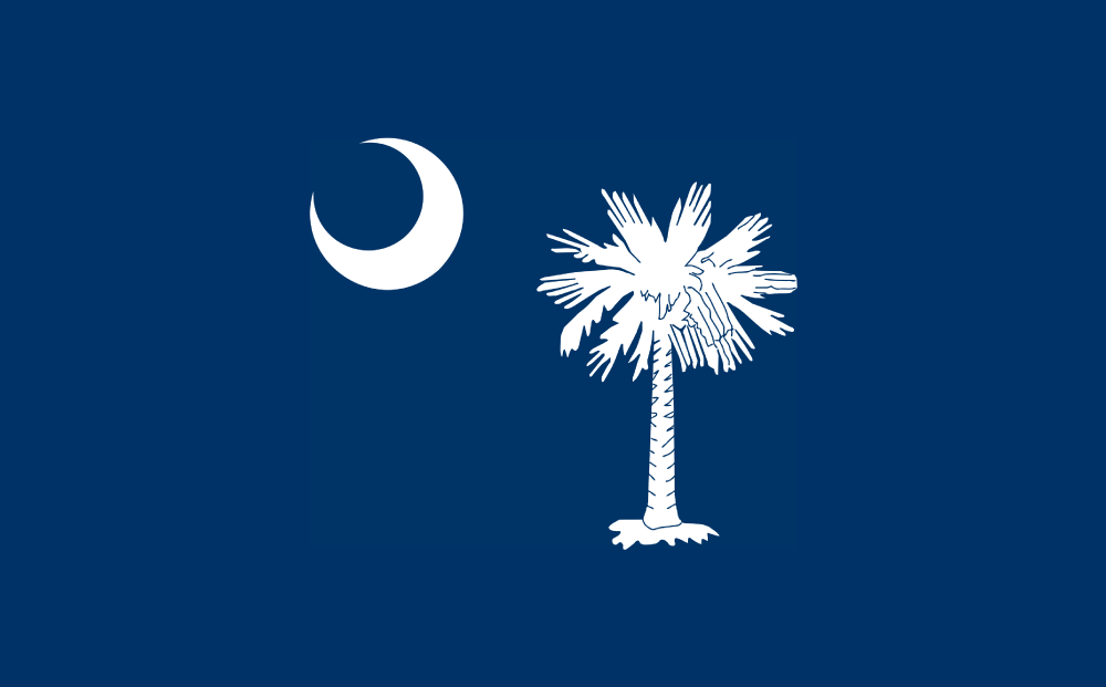 Palmetto Digital Literacy Program Provides Qualifying South Carolina Districts with Free Curriculum