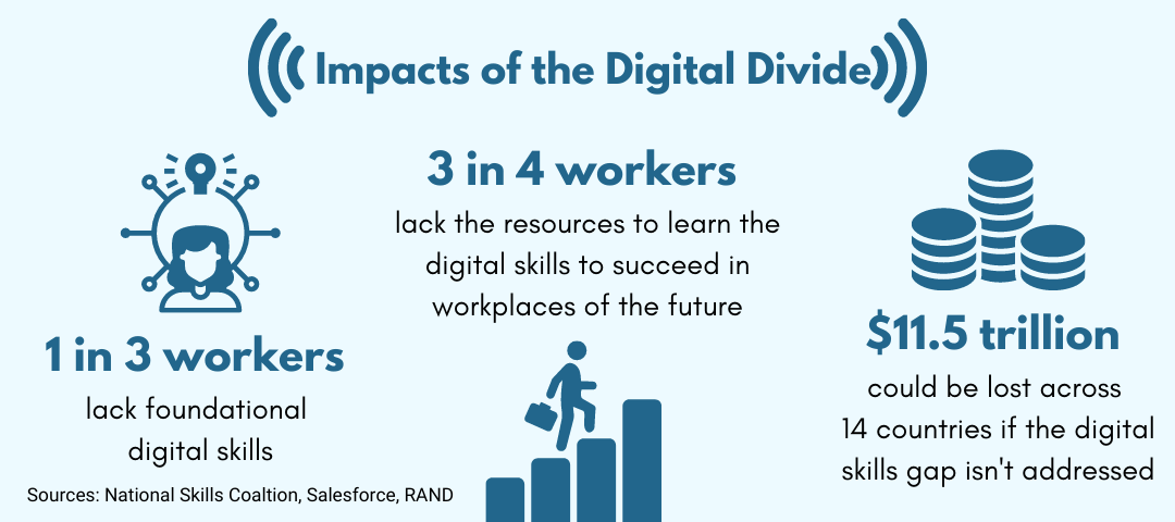 Impacts of the Digital Divide