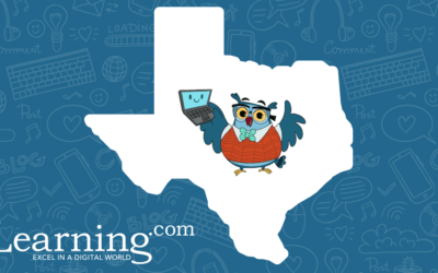 Texas Technology Standards: Big Changes Need Big Solutions